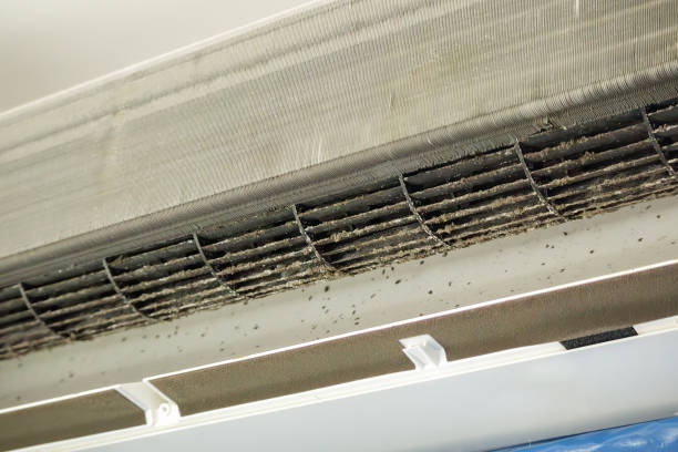 Best Residential Air Duct Cleaning  in Pierceton, IN